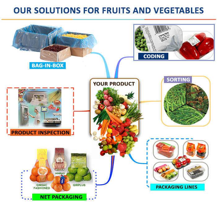 Packaging coding sorting machinery for fruit and vegetable industry